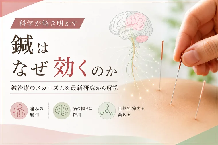 科学が解き明かす 鍼はなぜ効くのか